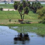 EGIPTO