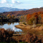 ROMANICO Paisaje Palencia