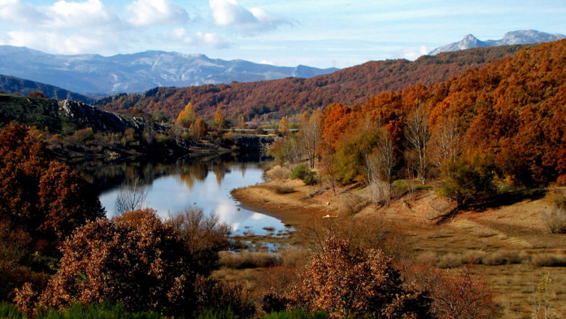 ROMANICO Paisaje Palencia