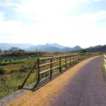 TRENES Y MINAS LUCAINENA