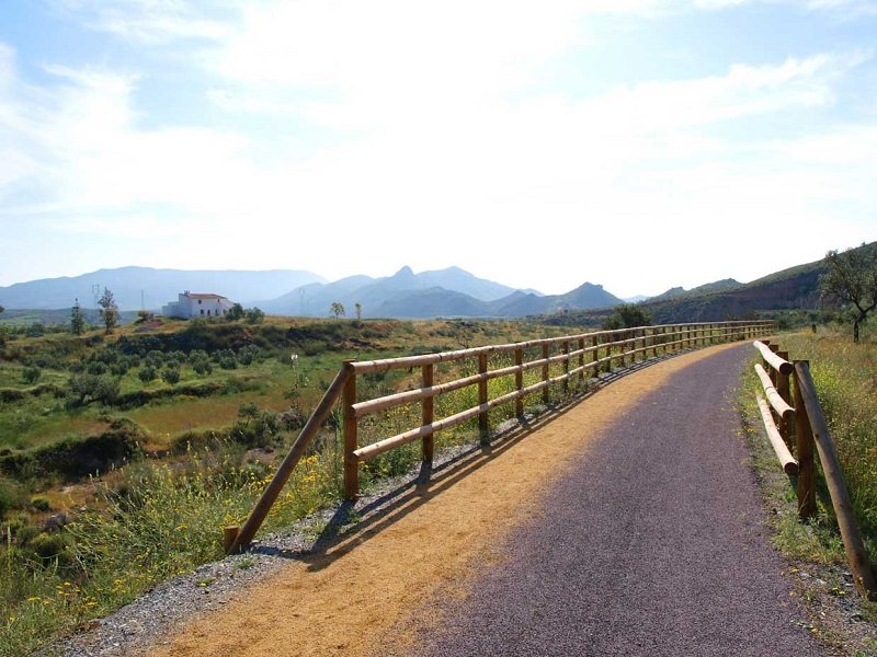 TRENES Y MINAS LUCAINENA