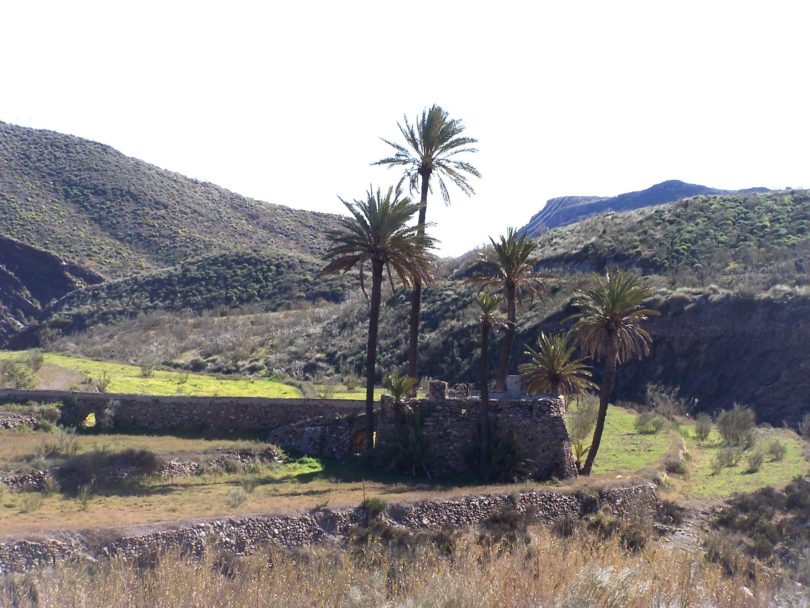 TRENES Y MINAS LUCAINENA