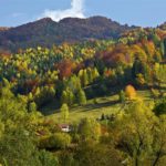 RUMANIA