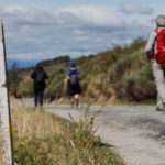 Camino Santiago