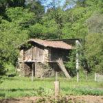 CAMINO DE SANTIAGO