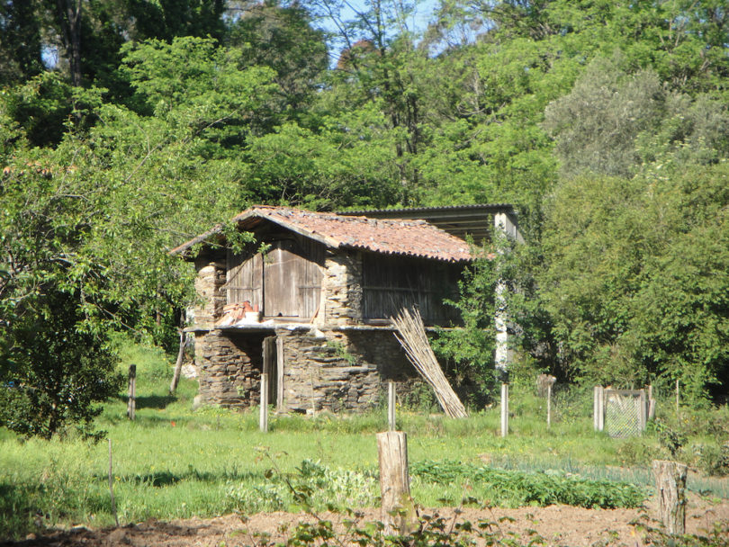 CAMINO DE SANTIAGO