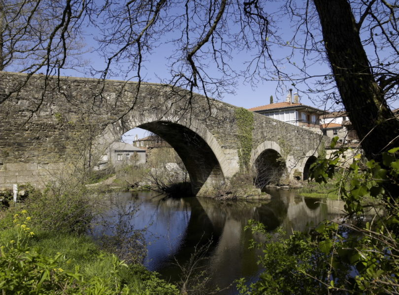 CAMINO DE SANTIAGO