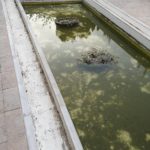 ALCAZABA SIN AGUA
