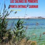 SAL Y MAR