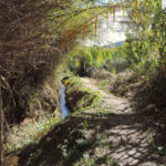 Acequias del Río