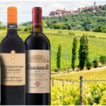 montepulciano-dabruzzo-wine-12