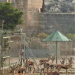 EEZA LA ALCAZABA QUE QUEREMOS