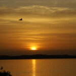 EGIPTO NASSER