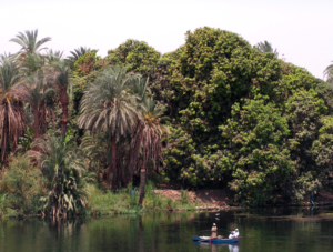 EGIPTO NILO