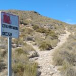 VIA PECUARIA