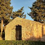 ROMA Daymun –